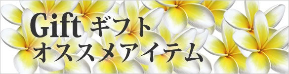 �M�t�g�@�I�X�X���A�C�e��