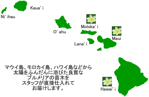 ハワイ各島のイメージ